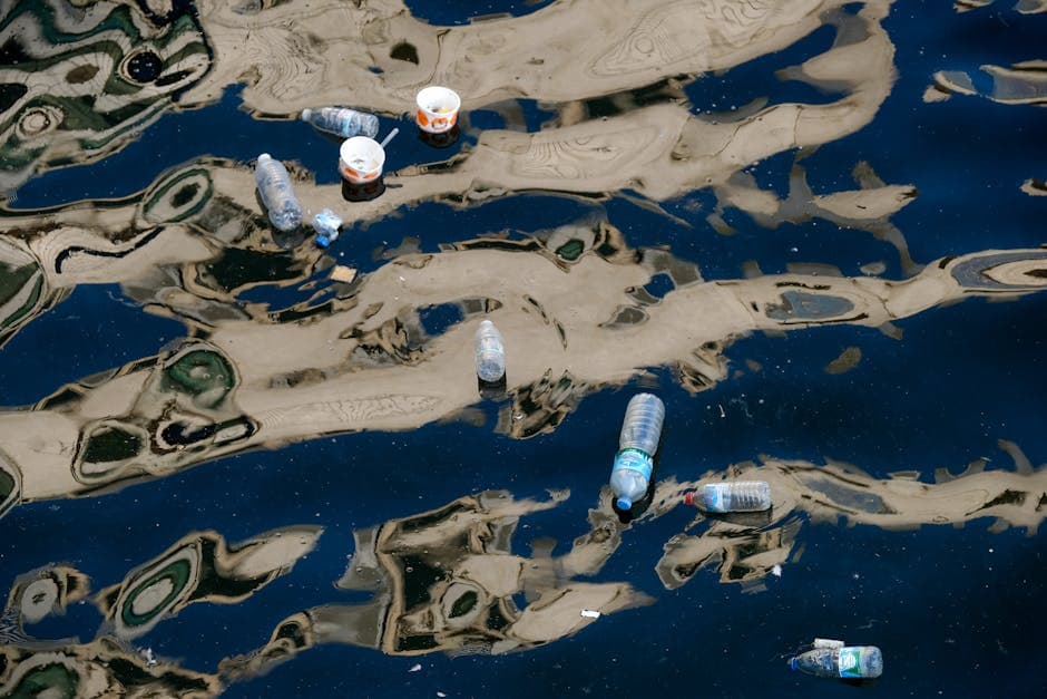 Cover Image for The Great Pacific Garbage Patch: Size, Location, and Latest Data