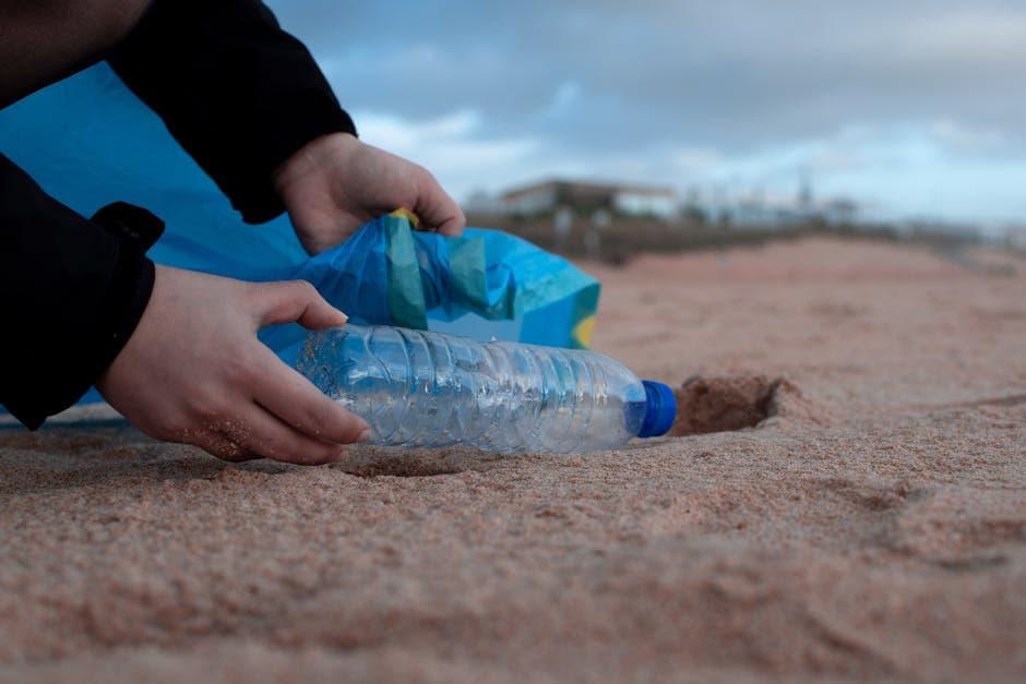 Cover Image for How to Stop Plastic Pollution in the Ocean: 7 Proven Solutions