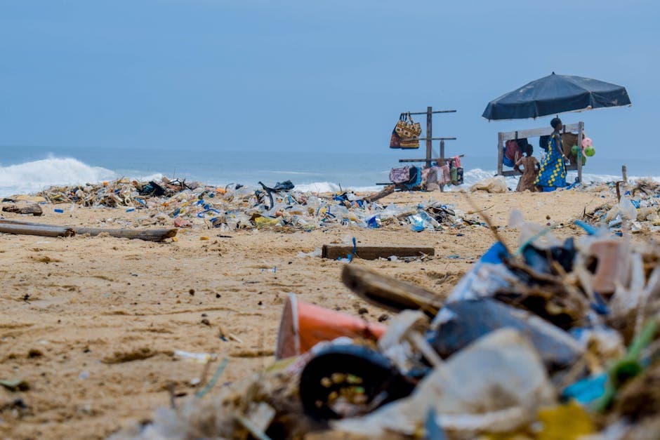 Cover Image for 25 Ocean Pollution Facts That Will Change How You Think About Plastic